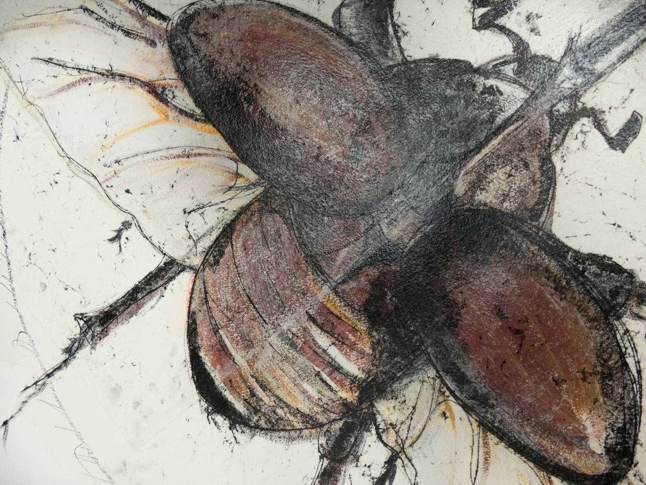 Français Scarab Beetles 2 de Luciano di Concetto en vente