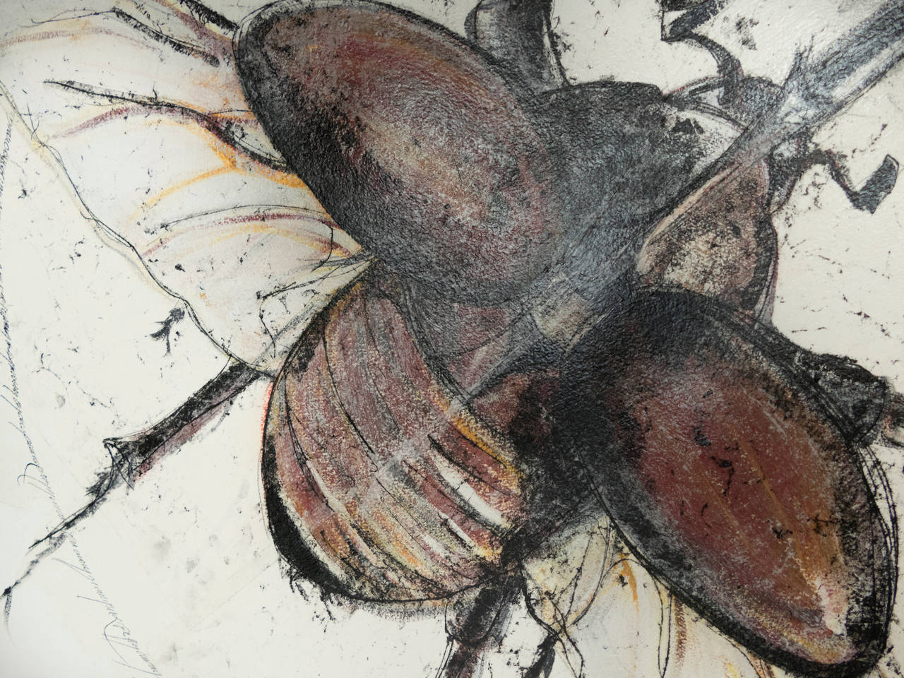 Francese Scarabeo 2 di Luciano di Concetto in vendita