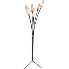 1950
s French Floor Lamp