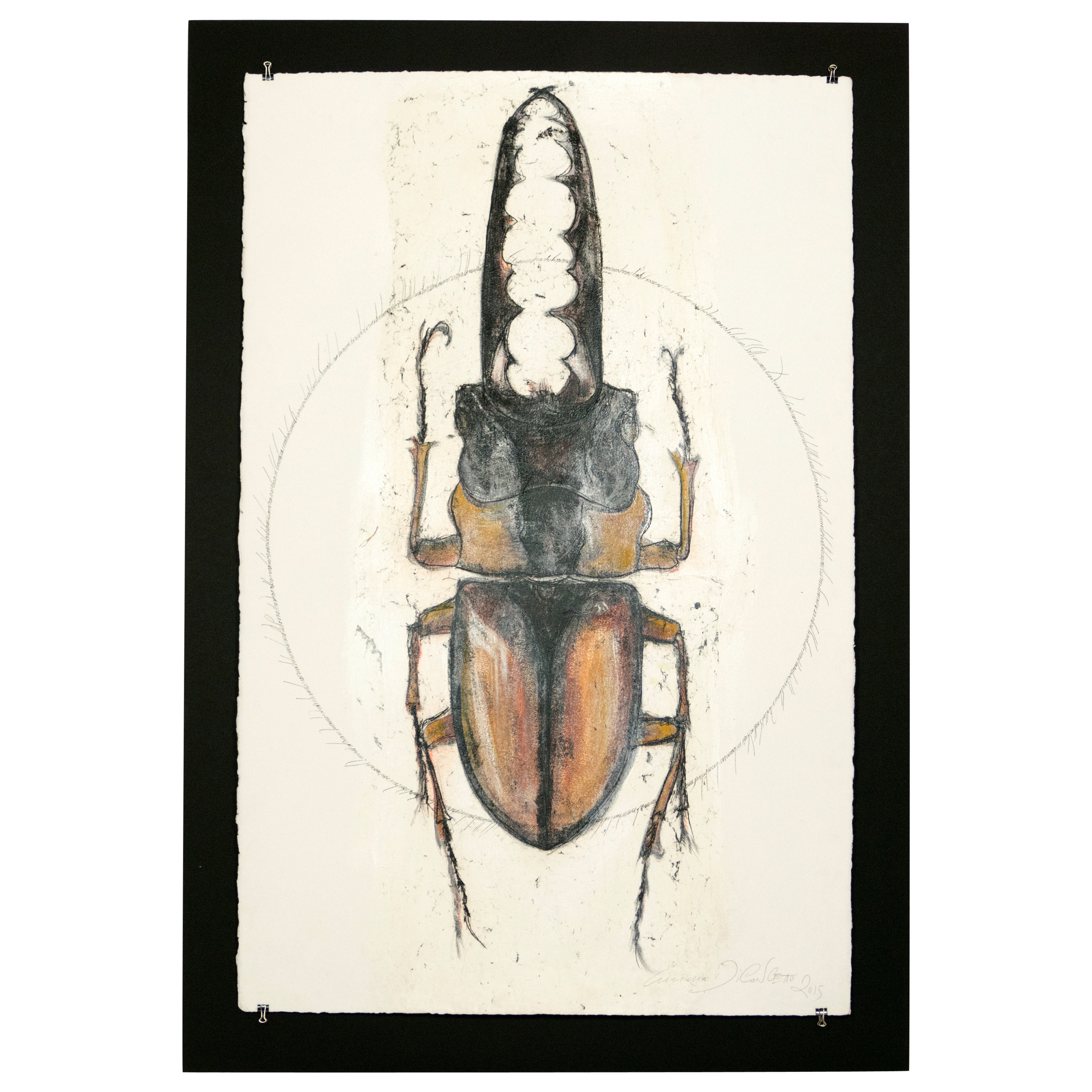 Scarab Beetles Three by Luciano Di Concetto For Sale