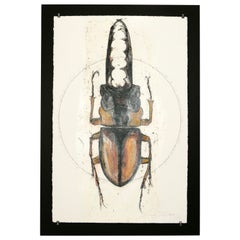 Scarab Beetles Three de Luciano Di Concetto