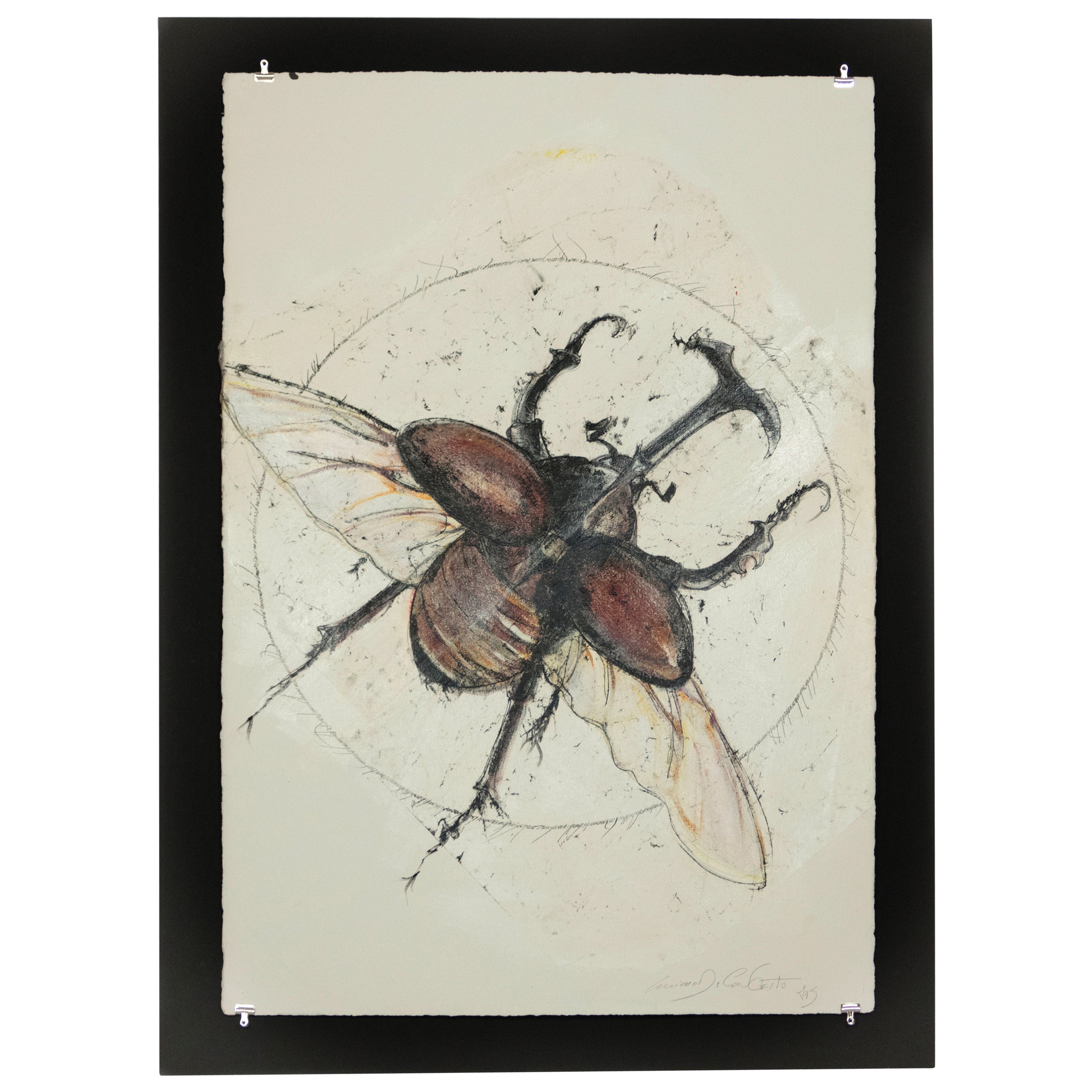 Scarab Beetles 2 by Luciano di Concetto For Sale