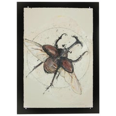 Scarab Käfer 2 von Luciano di Concetto