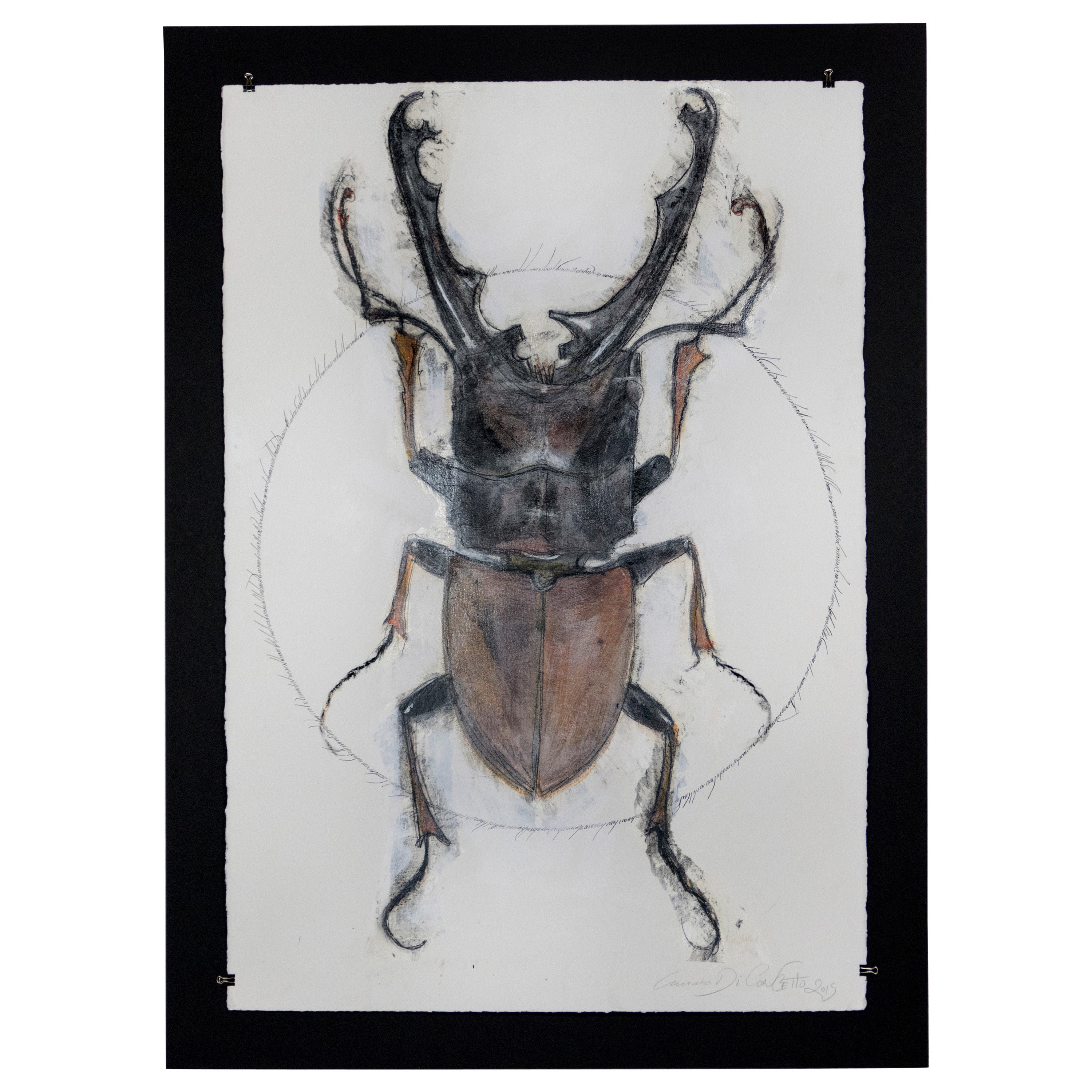 Scarab Beetles 1 by Luciano Di Concetto For Sale