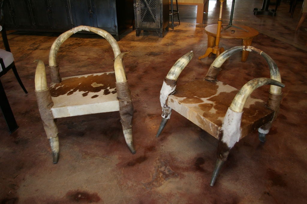 Beautiful and Elegant pair of Steer Horn Chairs. They have been restored. There are very confortable.