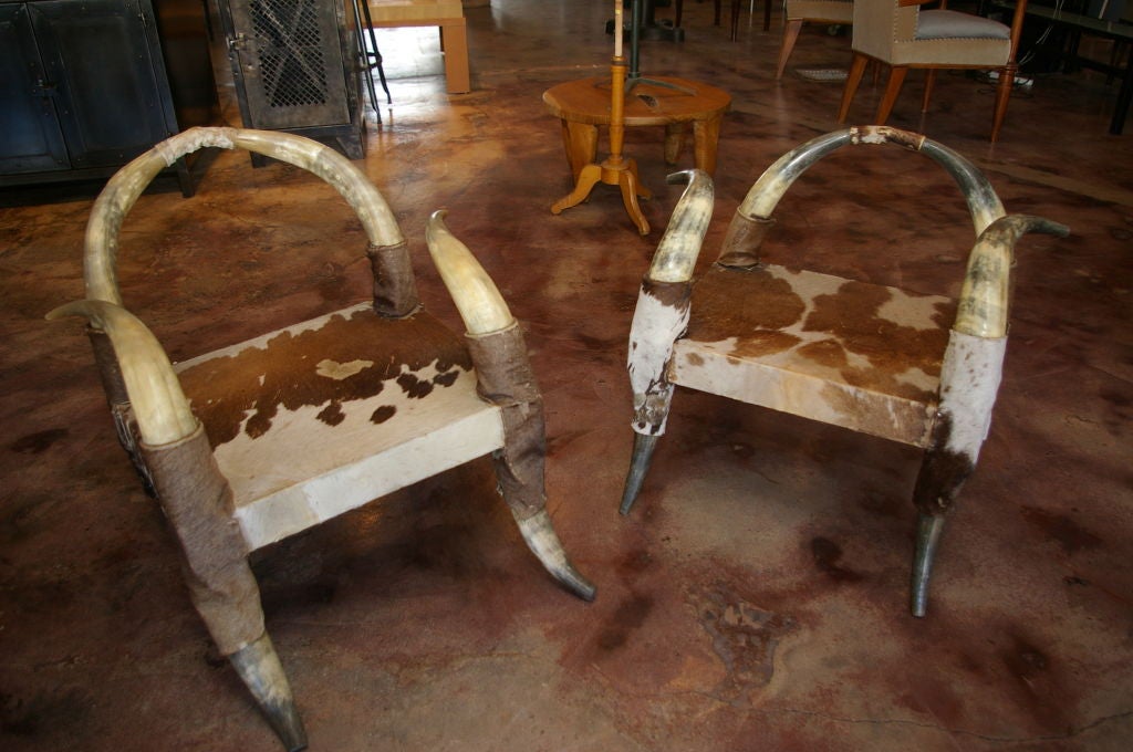 Mid-20th Century Pair of French Steer Horn Chairs