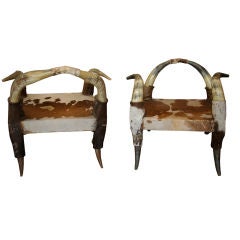 Pair of French Steer Horn Chairs