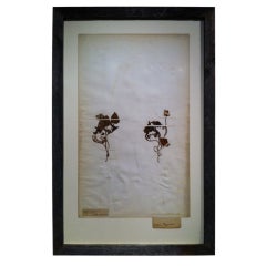 Antique Framed Botanical Study # 6