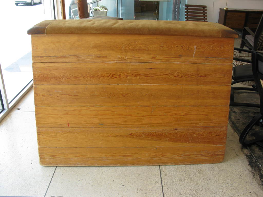 Danish Vintage Wood & Leather Gym Vault - Large