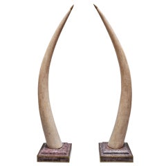 Monumental Pair of Stone Tusks 7