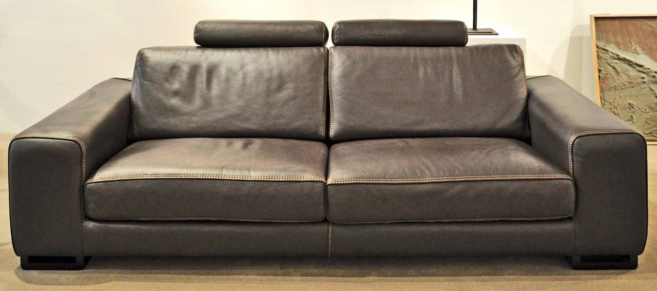 roche bobois leather sofa