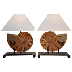Large Pair of Fossil and Iron Lamps with Custom Shades 2