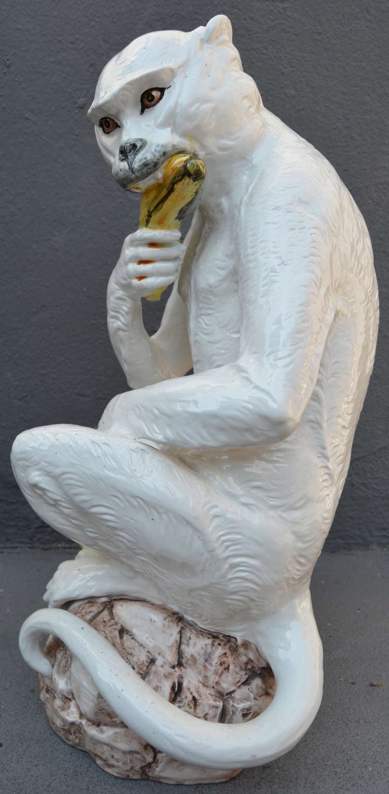 a monkey eats a banana in italian