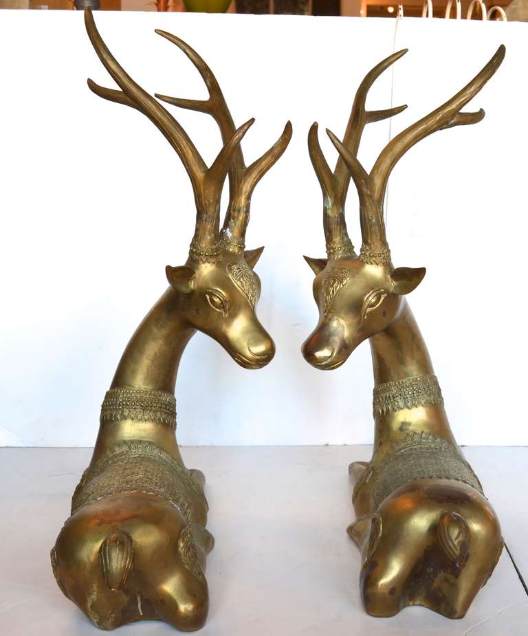Italian Brass Recumbent Deer in Opposing Positions