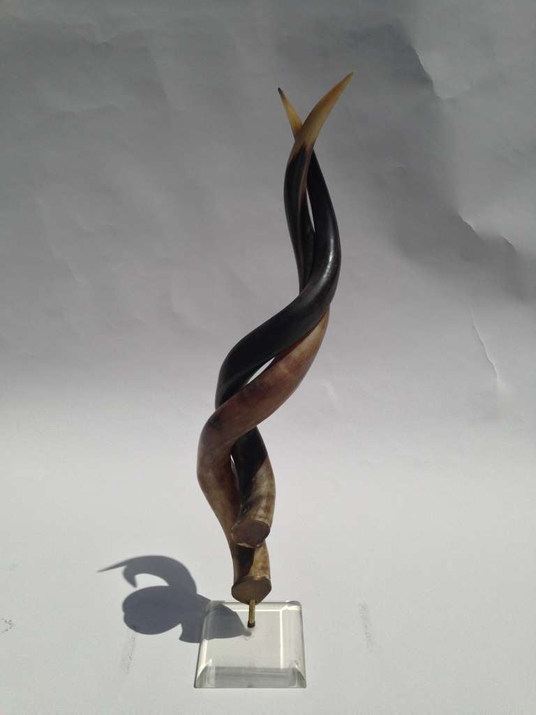 Intertwined Horns on Lucite Base