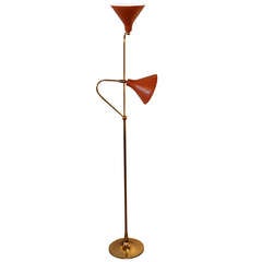 Fantastic Floor Lamp with Coral Shades