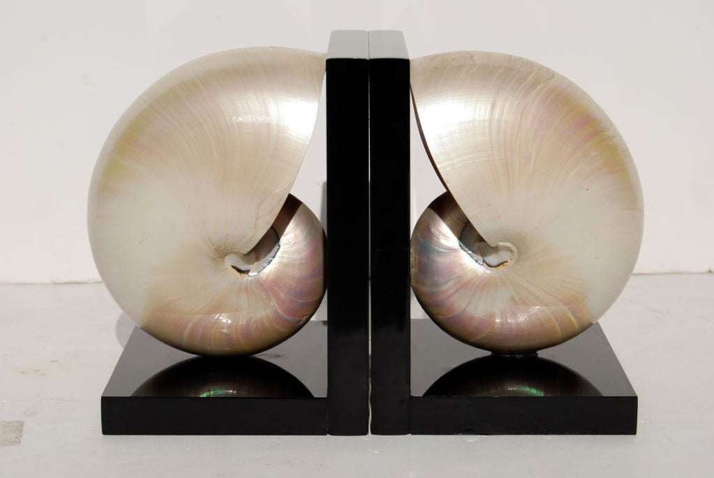Really beautiful. On black perspex mounts.