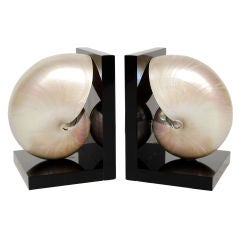 Stunning Nautilus Shell Bookends