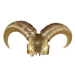 22kt Gold Leafed Rams Skull