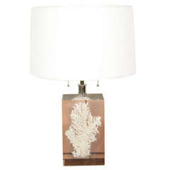 A Pierre Giraudon Resin with White Coral inclusion Table Lamp.