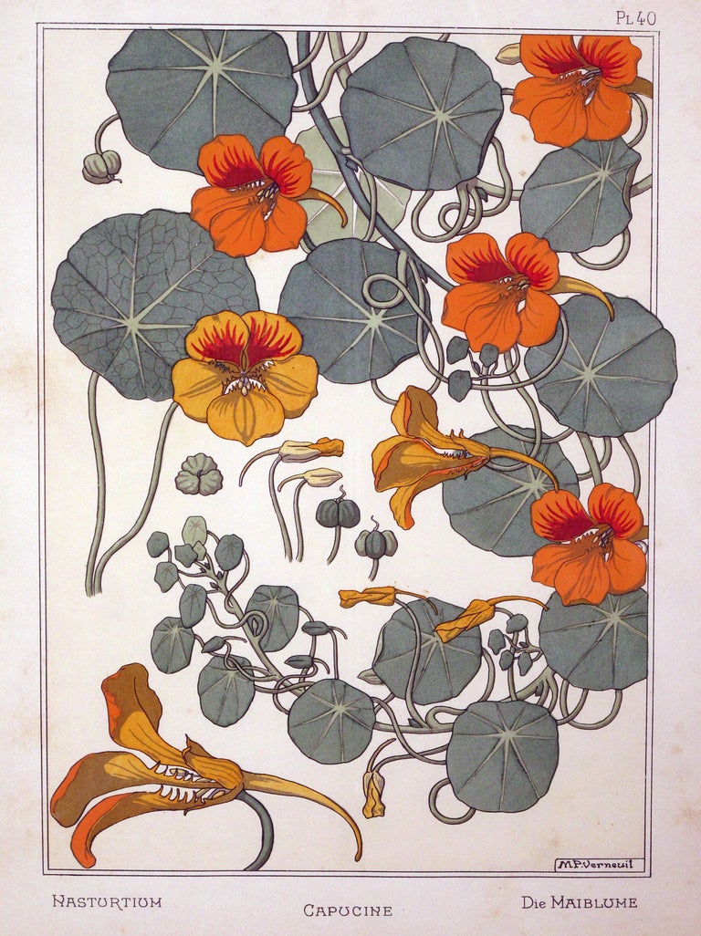 A rare and well-executed set of three French Art Nouveau chromolithographs of nasturtiums and sunflowers; each colorful print depicting the sunflower and nasturtium flower as a plant with the remaining prints showing the flower as a decorative