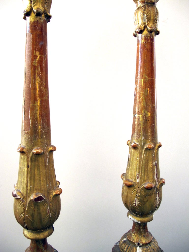 19th Century A Large & Striking Pair of Italian Baroque Style Giltwood Tripod Pricket Sticks For Sale