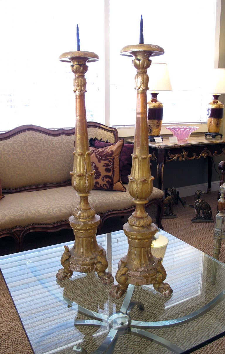 A Large & Striking Pair of Italian Baroque Style Giltwood Tripod Pricket Sticks For Sale 2