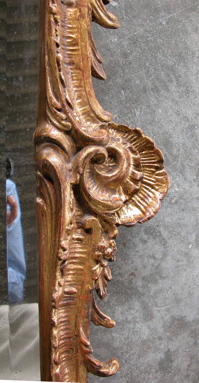 Exuberant French Louis XV Style Carved Giltwood and Plaster Rectangular Mirror In Good Condition In San Francisco, CA