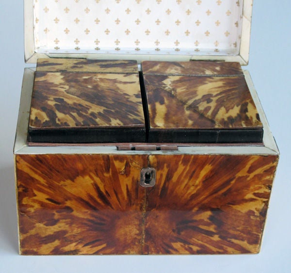 A handsome English Georgian tortoiseshell tea caddy with classical-inspired painted scene; the rectangular lid centering an inset painting of classical figures; resting on a conforming body enclosing twin tea compartments with tortoiseshell lids