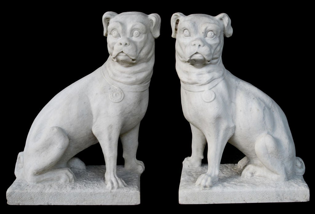 An unusual pair of English hand-carved carrara marble seated pug dogs; each seated pug with unique gaze below floppy ears; with compact muscled bodies ending in a characteristic coiled tail