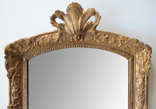 An elegant French regence carved giltwood mirror with plumed crest; the arched plate within a conforming frame with raised foliate scrollwork interspersed with shell motifs; all below a pierced plume