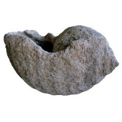 An Over-Scaled French Cast-Stone Conch Shell-Form Jardiniere