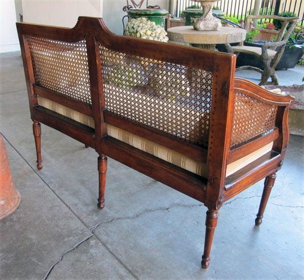 A Handsome Italian Neo-Classical Walnut Settee w/Caned Back 2
