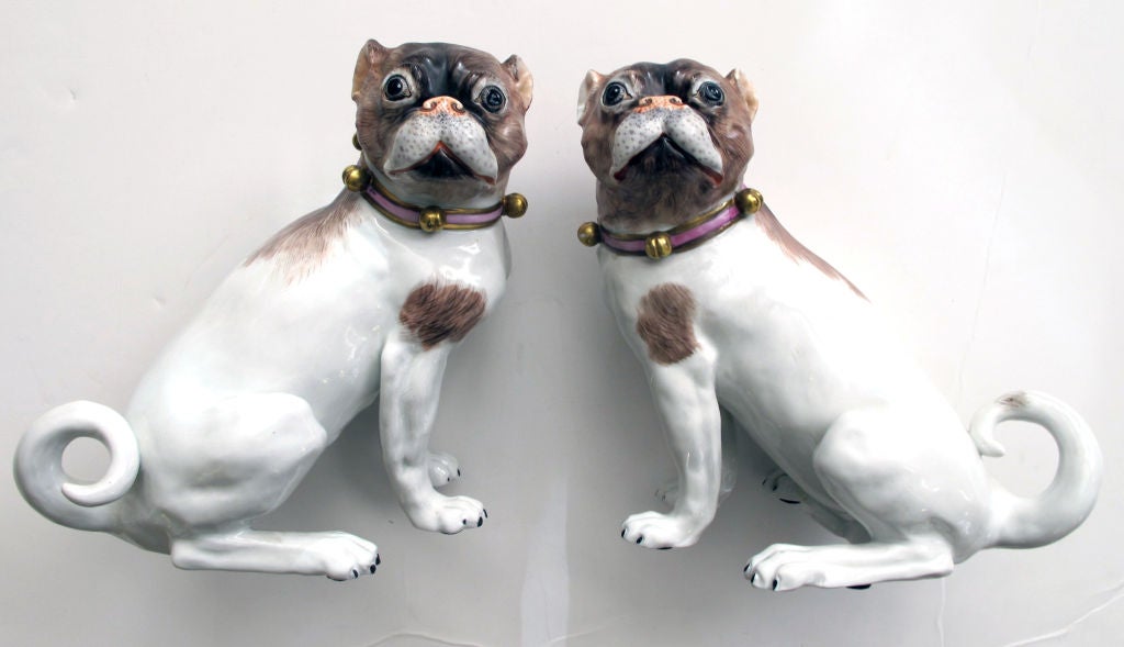 A beautifully rendered pair of German Dresden porcelain seated pugs with underglazed blue markings; after meissen originals, the male and female opposing seated dogs naturally detailed and wearing pink collars with gilt bells