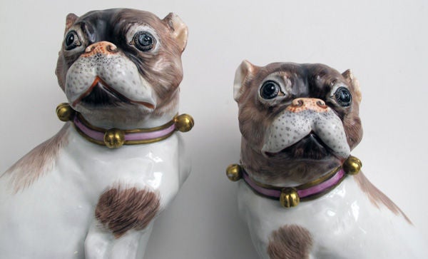 20th Century A Beautifully Rendered Pair of German Dresden Porcelain Pugs