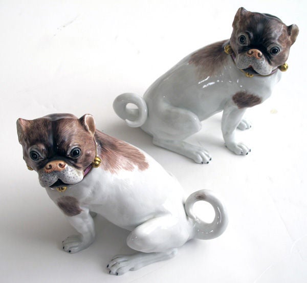 A Beautifully Rendered Pair of German Dresden Porcelain Pugs 1