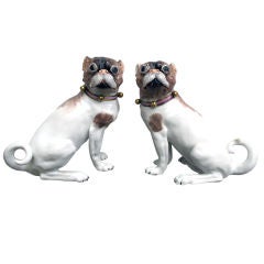 Antique A Beautifully Rendered Pair of German Dresden Porcelain Pugs