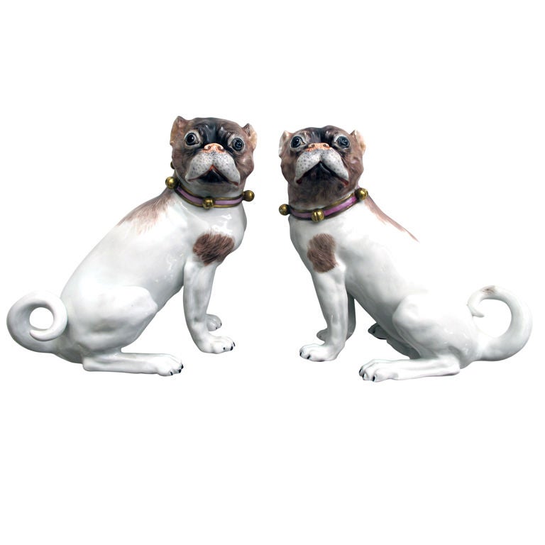 A Beautifully Rendered Pair of German Dresden Porcelain Pugs