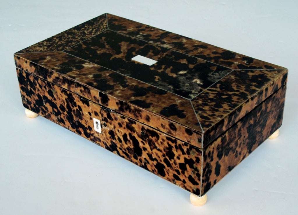 A Deeply-Colored English William IV Brown Tortoiseshell Box