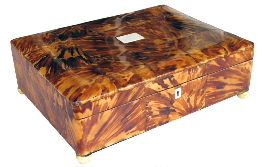 Exceptionally Large English William IV Blonde Tortoiseshell Box