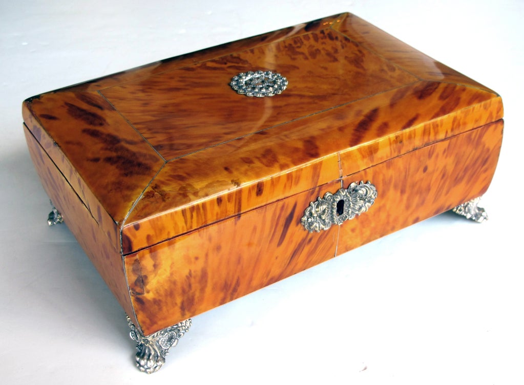 A large-scaled and rare English regency blonde tortoiseshell trinket box with silver mounts; the gently domed lid centering a reticulated silver medallion resting on a bowed body opeing to reveal a removable compartment; raised on exuberant silver