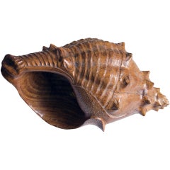 A Large-Scaled American Folk Art Carved Oak Conch Shell