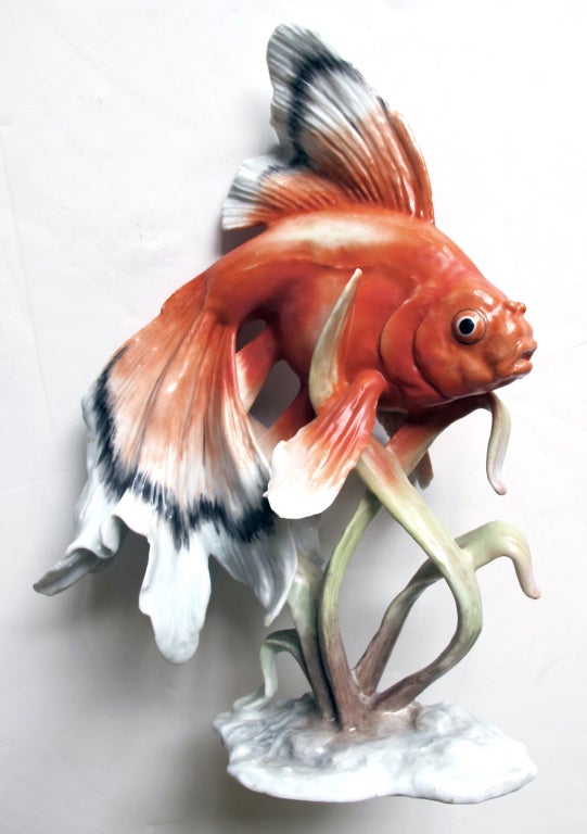 A finely executed German porcelain fantail fish by Rosenthal; the swimming fish with elegant flowing finnage.