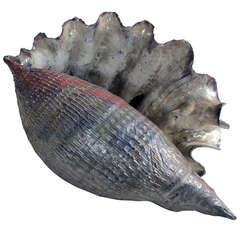 Boldly-Scaled American 1960s Raku-Fired Conch Shell