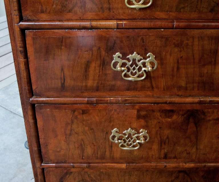 oak 5 drawer chest