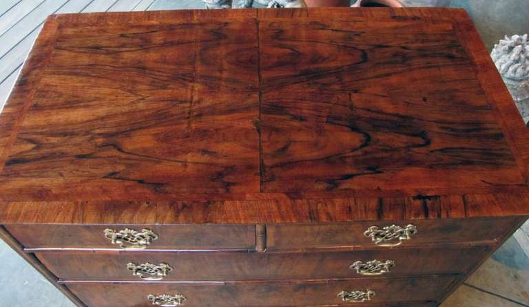 A handsome English George II walnut veneered and oak 5-drawer chest; the rectangular top above two short and three long graduated drawers on bracket feet.