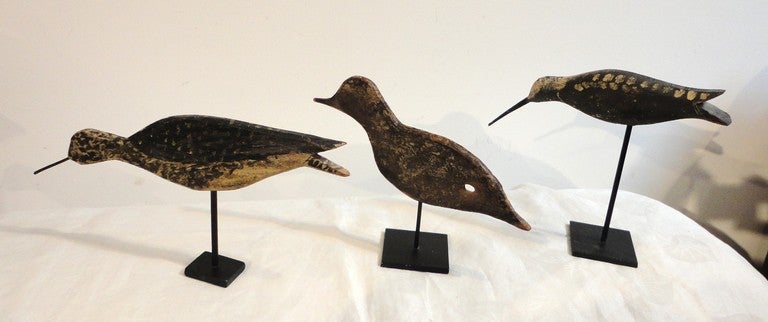 This group of three original painted shorebirds from New England are on custom made cast iron stands.The collection has come from a private collector and are in wonderful condition with age wear and minor loss.One bird has a small hole from use and