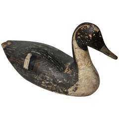 New England Pintail Decoy in Original Painted Surface