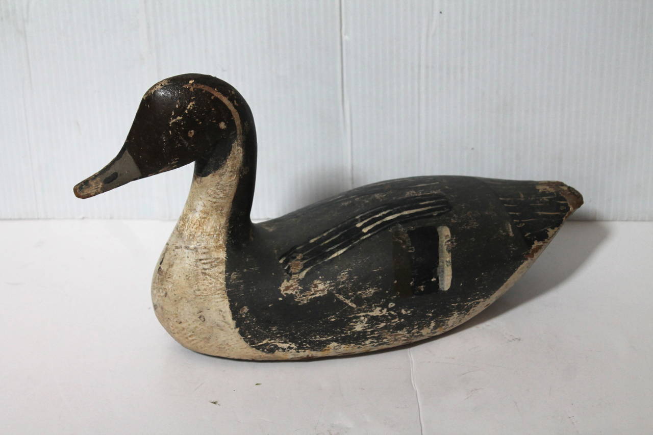 This wonderful original painted decoy was found in New England. This pintail bird has a great shape and undisturbed surface.