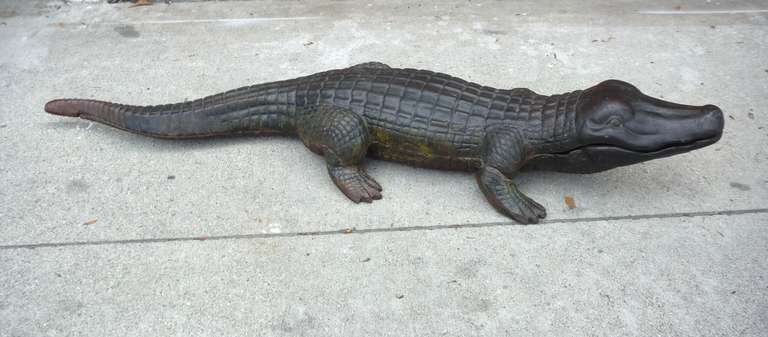alligator cast